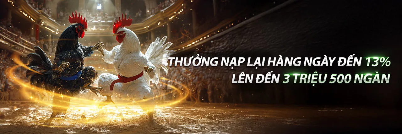 Đá gà Thomo 67 trực tiếp hôm nay